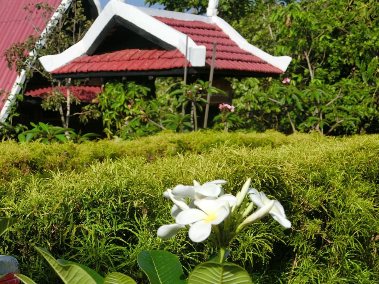 Hotel Greenhouse Retreat Sen Monourom Esterno foto